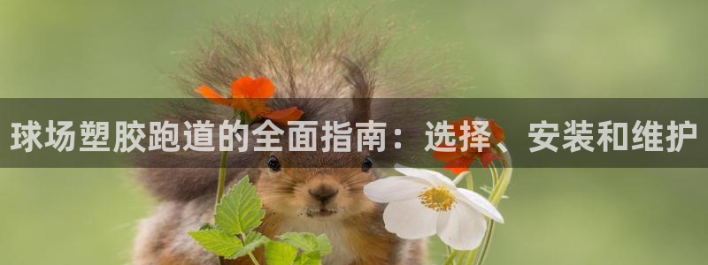 666814红·足一世比分：球场塑胶跑道的全面指南：选择、安装和维护