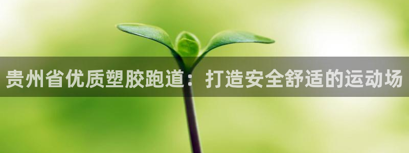 红足i世足球手机网：贵州省优质塑胶跑道：打造安全舒适的运动场