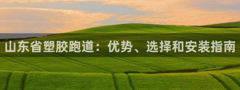 红足一1世皇冠登录：山东省塑胶跑道：优势、选择和安装指南