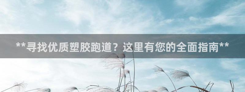 红足一生世：**寻找优质塑胶跑道？这里有您的全面指南**