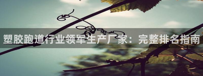 红足i世足球手机网