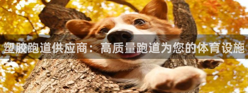 红姐现场直播开奖记录：塑胶跑道供应商：高质量跑道为您的体育设施