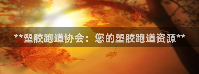 红足一比分网