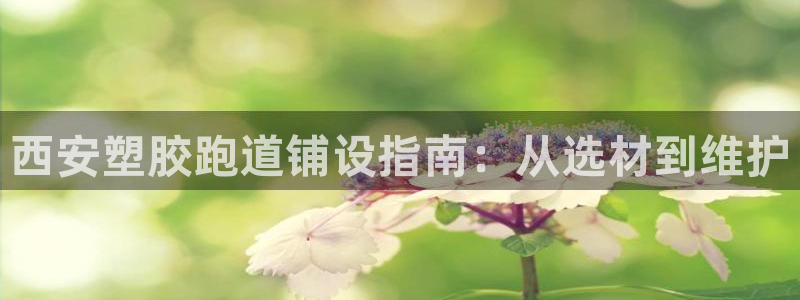 红足一生世：西安塑胶跑道铺设指南：从选材到维护