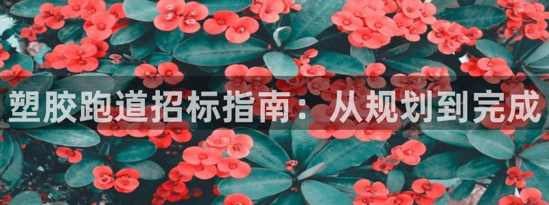 百度红足一1使用说明