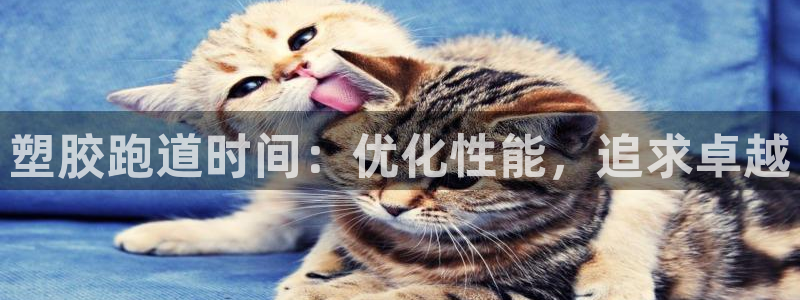 红足一1世平台：塑胶跑道时间：优化性能，追求卓越