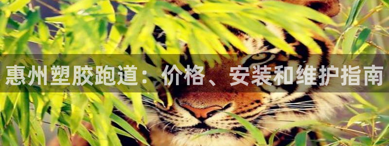 333814红·足一世比分
