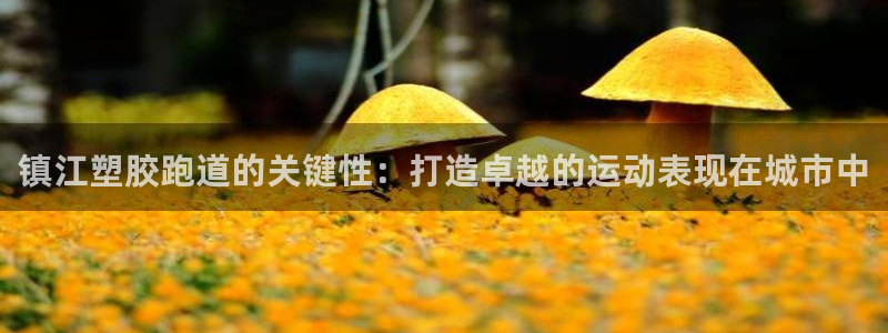 红足足球网