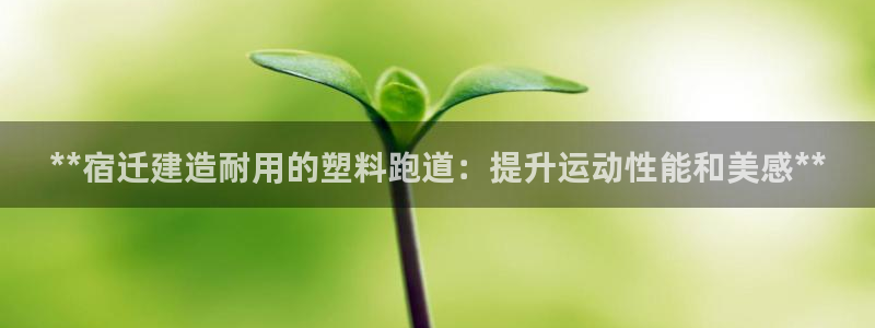 红足1世手机板：**宿迁建造耐用的塑料跑道：提升运动性能和美感**