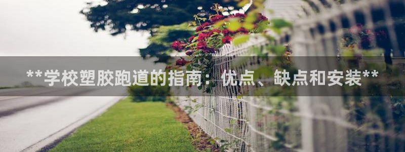 红足1世1站：**学校塑胶跑道的指南：优点、缺点和安装**