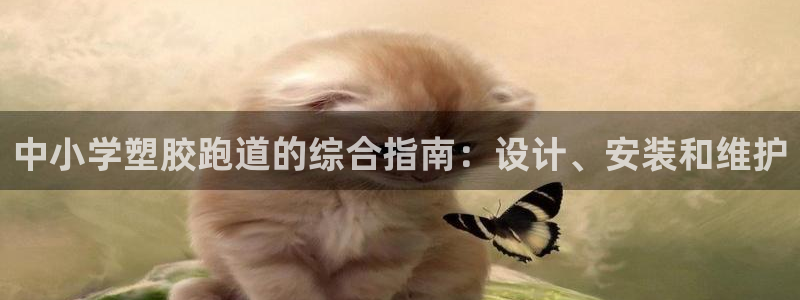 777814红·足一世比分：中小学塑胶跑道的综合指南：设计、安装和维护