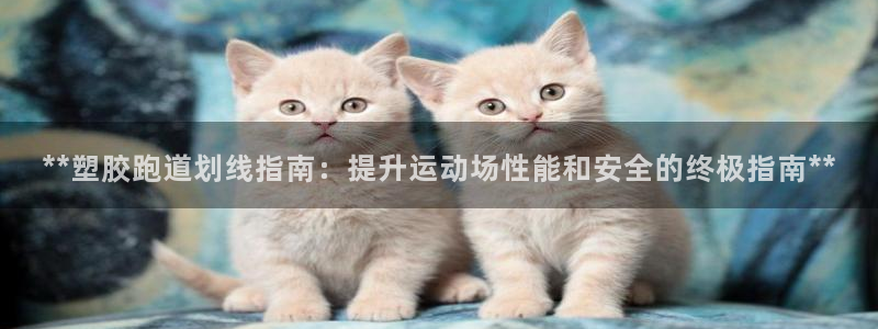 红足1世1站2站管理网：**塑胶跑道划线指南：提升运动场性能和安全的终极指南**