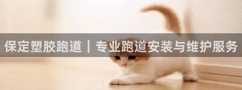 红足 世足球手机网：保定塑胶跑道｜专业跑道安装与维护服务