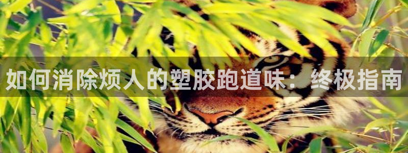 红足一球：如何消除烦人的塑胶跑道味：终极指南