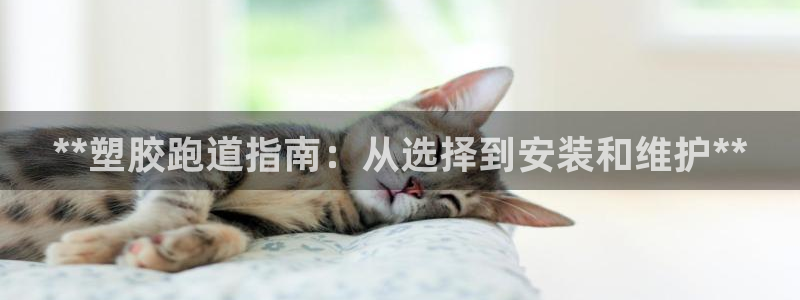 红足1世1站2站管理网：**塑胶跑道指南：从选择到安装和维护**