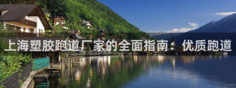 红足1一世 2站：上海塑胶跑道厂家的全面指南：优质跑道