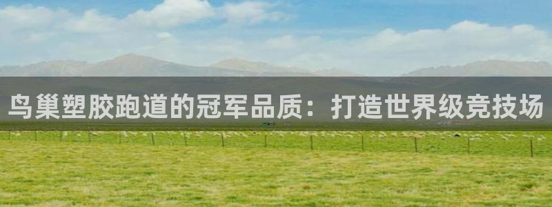 红足一1世：鸟巢塑胶跑道的冠军品质：打造世界级竞技场