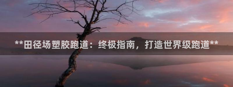 红足一1世666814足球比分网：**田径场塑胶跑道：终极指南，打造世界级跑道**