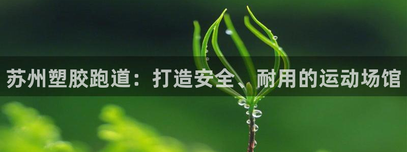 红足一1世开奖记录：苏州塑胶跑道：打造安全、耐用的运动场馆