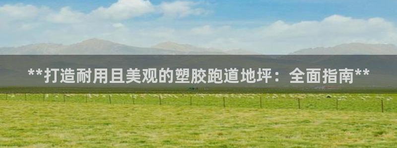 红足一：**打造耐用且美观的塑胶跑道地坪：全面指南**