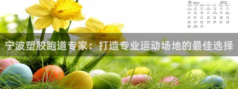 红足体育网：宁波塑胶跑道专家：打造专业运动场地的最佳选择