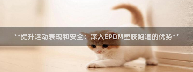 红足1世足球网址大全：**提升运动表现和安全：深入EPDM塑胶跑道的优势**