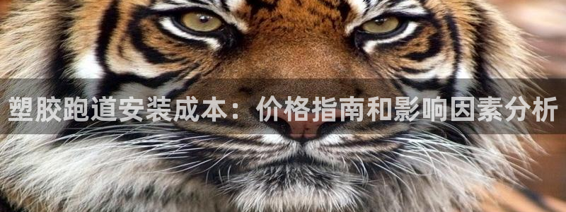 红足一1世官网足球推荐真人：塑胶跑道安装成本：价格指南和影响因素分析