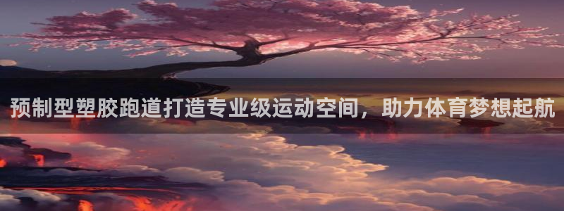 红足一1世平台：预制型塑胶跑道打造专业级运动空间，助力体育梦想起航