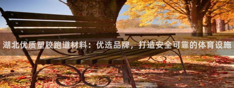 红足一一世：湖北优质塑胶跑道材料：优选品牌，打造安全可靠的体育设施
