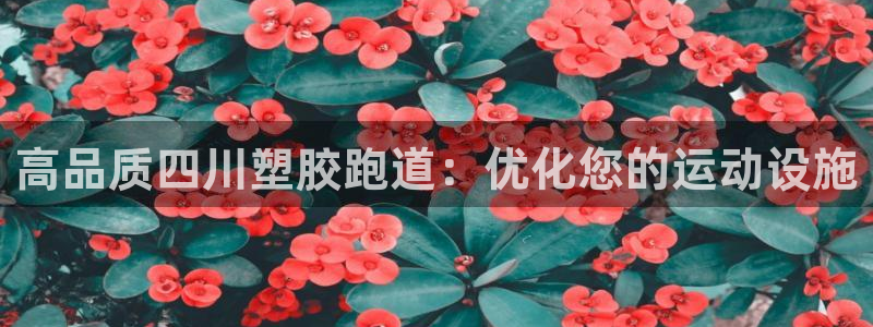 红足1世1站：高品质四川塑胶跑道：优化您的运动设施
