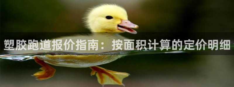 红足1世足球：塑胶跑道报价指南：按面积计算的定价明细
