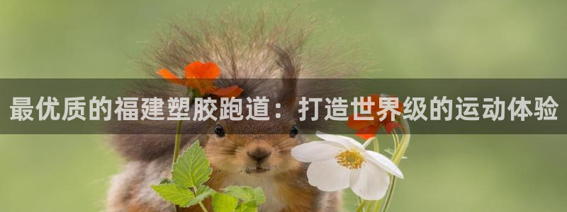 红足1世足球比分 localhost：最优质的福建塑胶跑道：打造世界级的运动体验