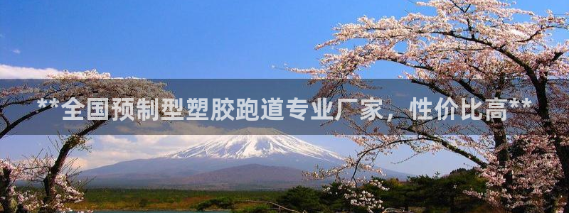 红足一1世666814最新结果：**全国预制型塑胶跑道专业厂家，性价比高**