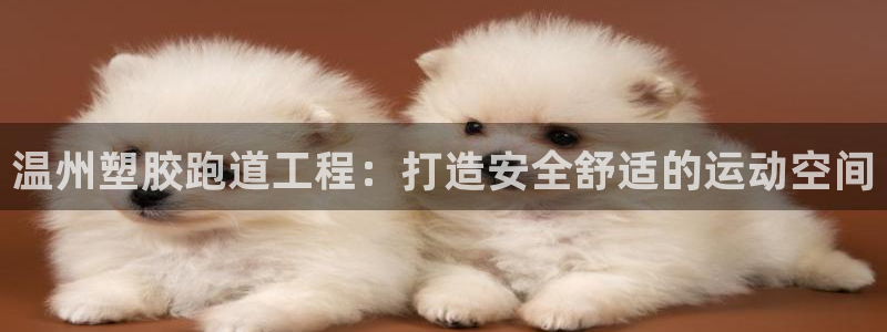 红足一1世比分网：温州塑胶跑道工程：打造安全舒适的运动空间