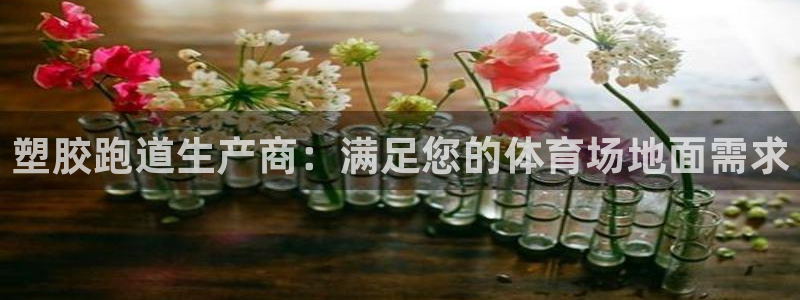 百度红足一1世：塑胶跑道生产商：满足您的体育场地面需求