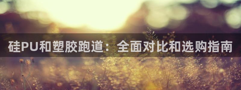 红姐现场直播开奖记录：硅PU和塑胶跑道：全面对比和选购指南