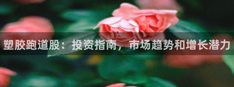 红足一生世：塑胶跑道股：投资指南，市场趋势和增长潜力