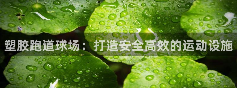 红足1世手机板：塑胶跑道球场：打造安全高效的运动设施