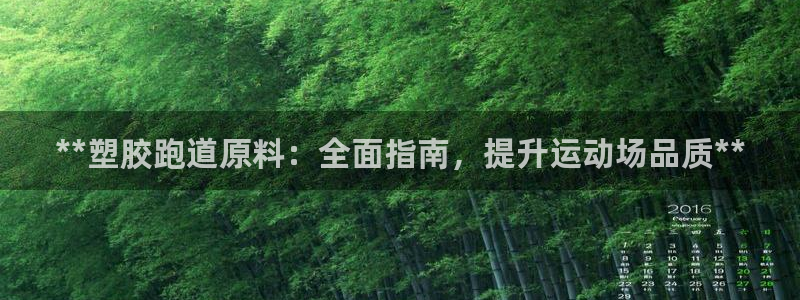 新2足球平台出租网站：**塑胶跑道原料：全面指南，提升运动场品质**