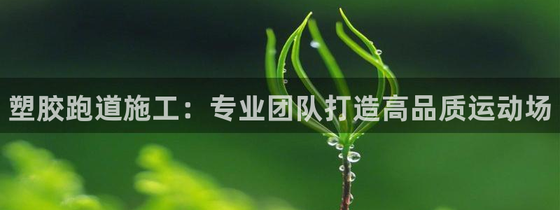 红世一足球比分：塑胶跑道施工：专业团队打造高品质运动场