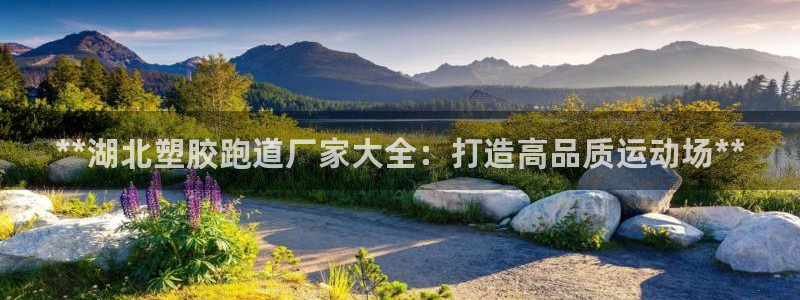 红足一1世皇冠登录：**湖北塑胶跑道厂家大全：打造高品质运动场**