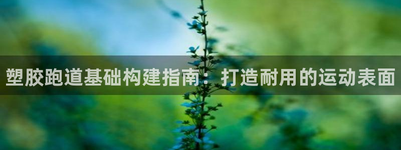 4633333开奖结果4176一点红：塑胶跑道基础构建指南：打造耐用的运动表面