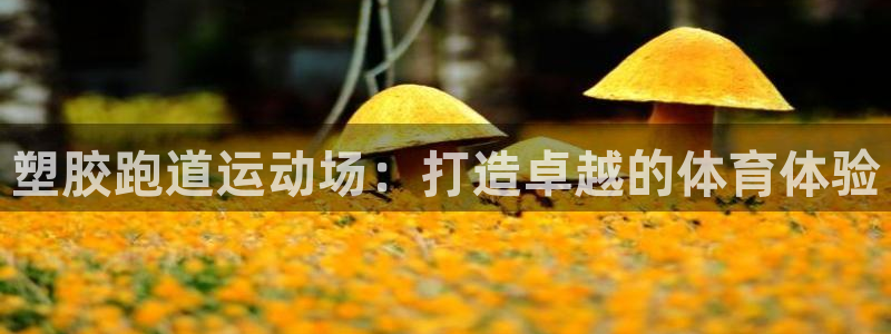 红足一1世比分球探：塑胶跑道运动场：打造卓越的体育体验