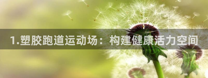 百度红足一1视频在线观看：1.塑胶跑道运动场：构建健康活力空间