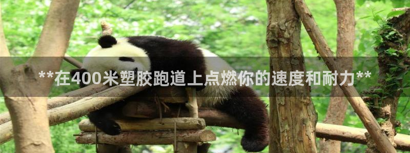 红足一一世足球网开奖记录：**在400米塑胶跑道上点燃你的速度和耐力**