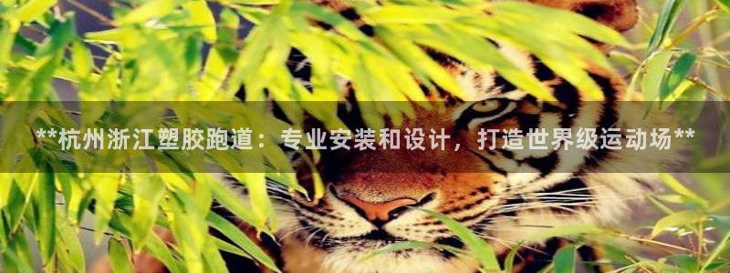 红足一1世比分网：**杭州浙江塑胶跑道：专业安装和设计，打造世界级运动场**