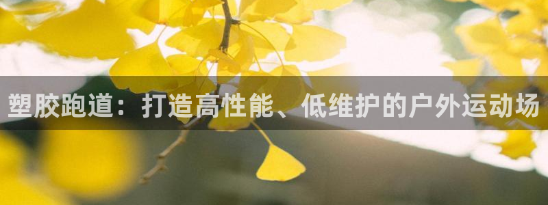 红足1一世 2站：塑胶跑道：打造高性能、低维护的户外运动场