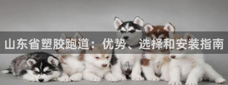 红足l一世开奖现场62ty：山东省塑胶跑道：优势、选择和安装指南