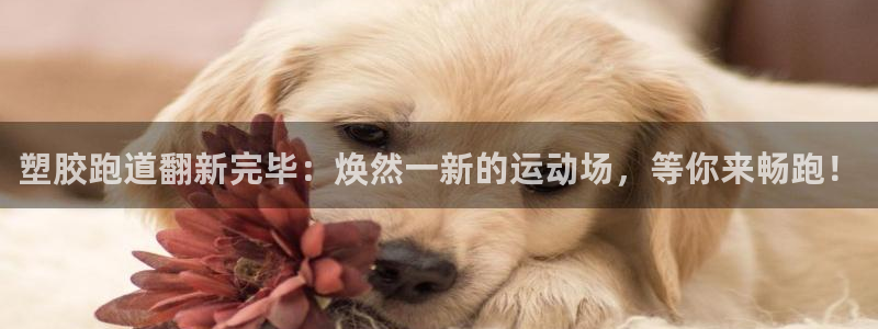 红世一足球比分：塑胶跑道翻新完毕：焕然一新的运动场，等你来畅跑！