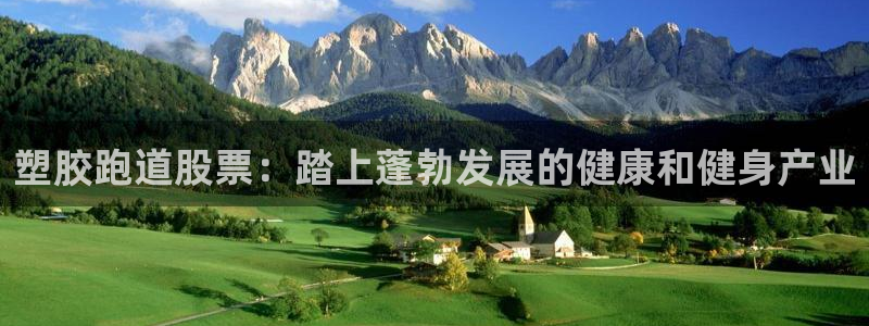 红足一生世：塑胶跑道股票：踏上蓬勃发展的健康和健身产业